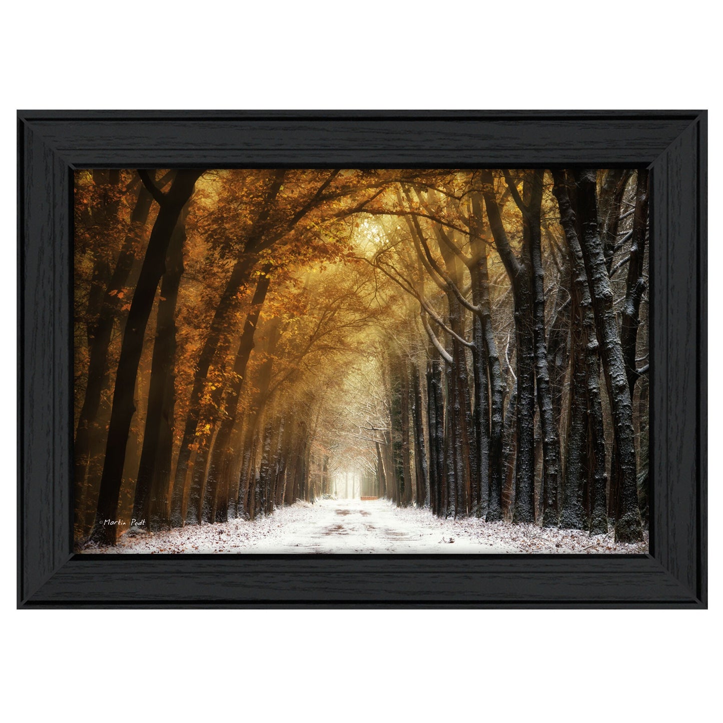 Autumn to Winter Black Framed Print Wall Art - Galactic capuchin