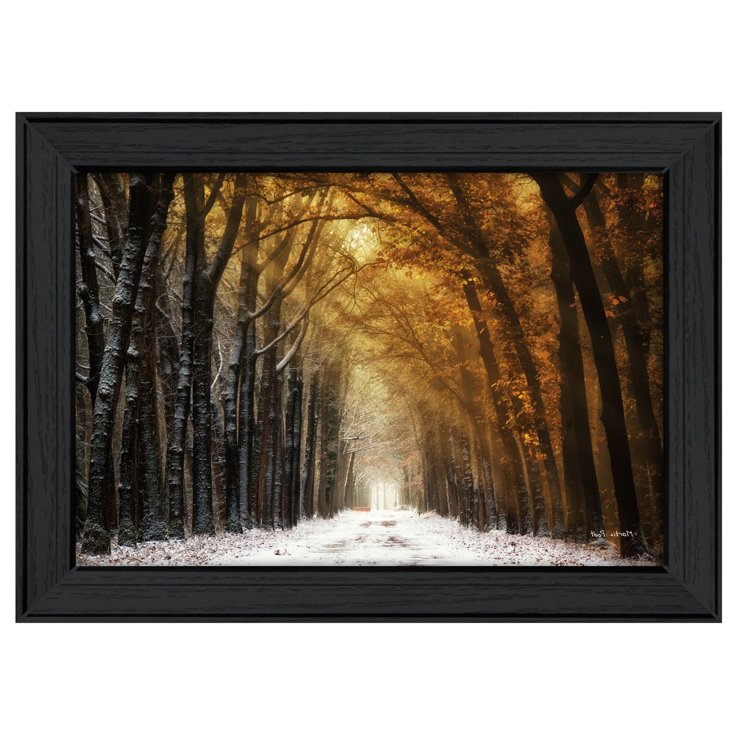 Autumn to Winter Black Framed Print Wall Art - Galactic capuchin