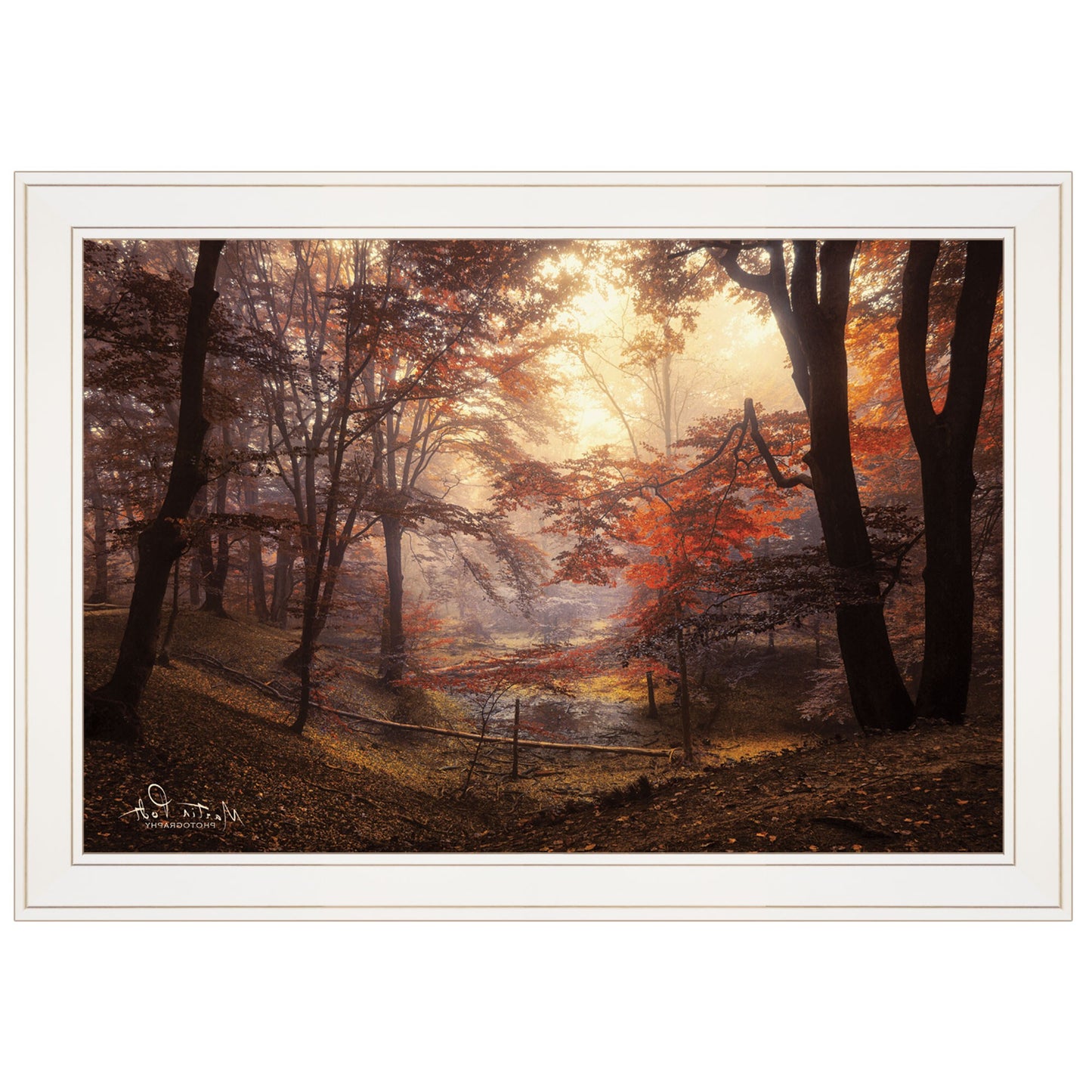 The Pool 1 White Framed Print Wall Art - Galactic capuchin
