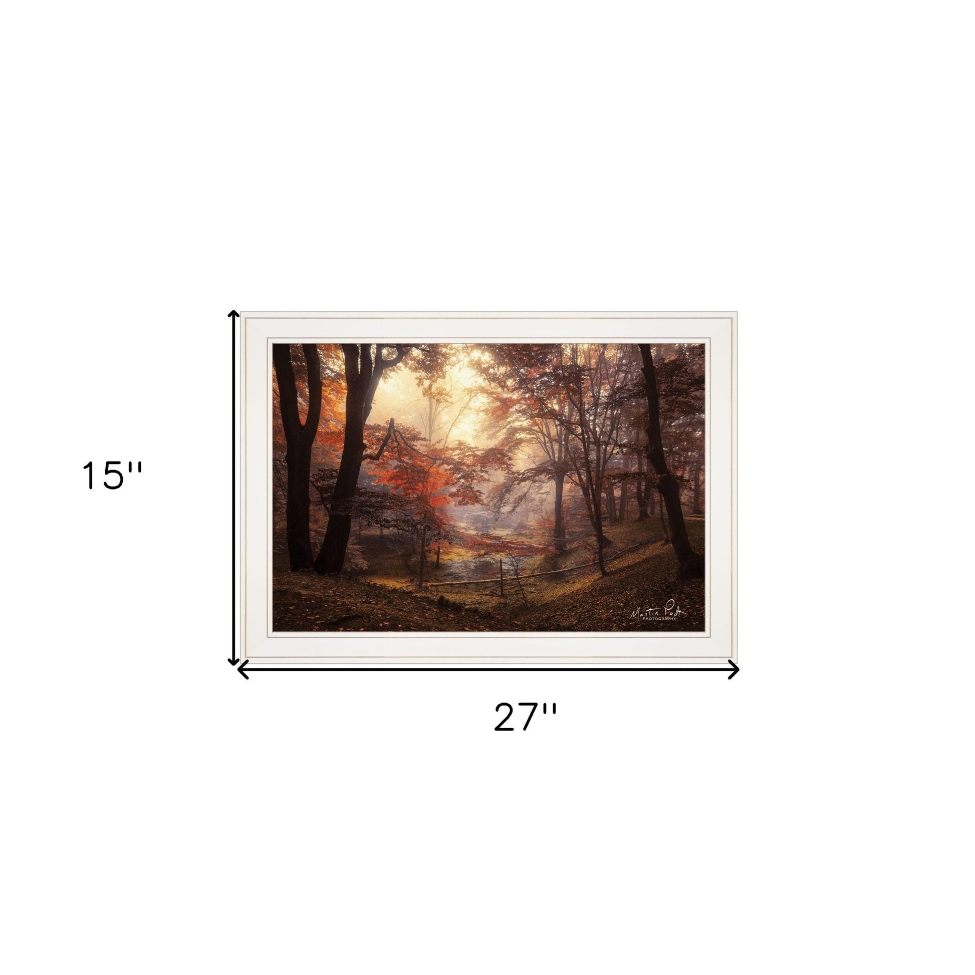 The Pool 1 White Framed Print Wall Art - Galactic capuchin