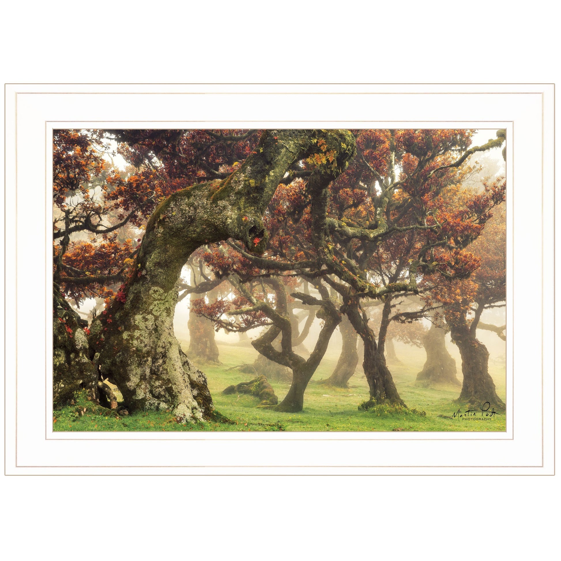 Fanal White Framed Print Wall Art - Galactic capuchin