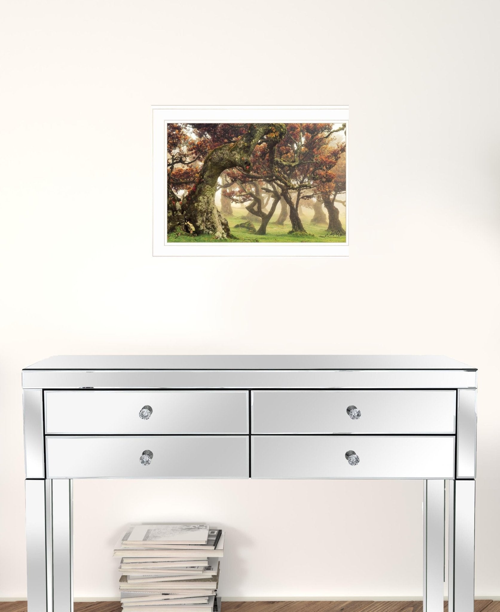 Fanal White Framed Print Wall Art - Galactic capuchin
