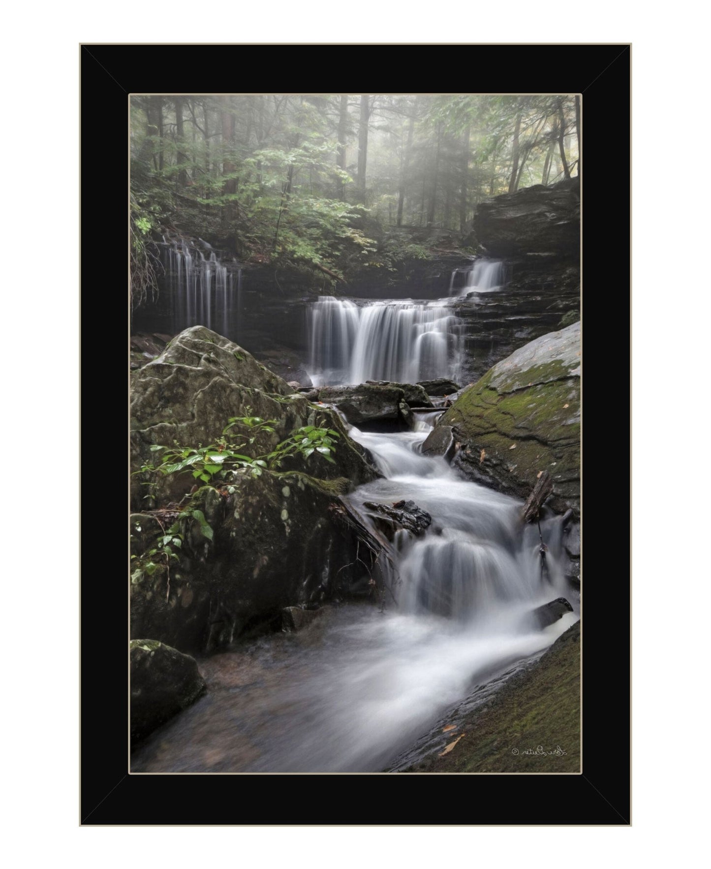 Ricketts Waterfall Black Framed Print Wall Art - Galactic capuchin