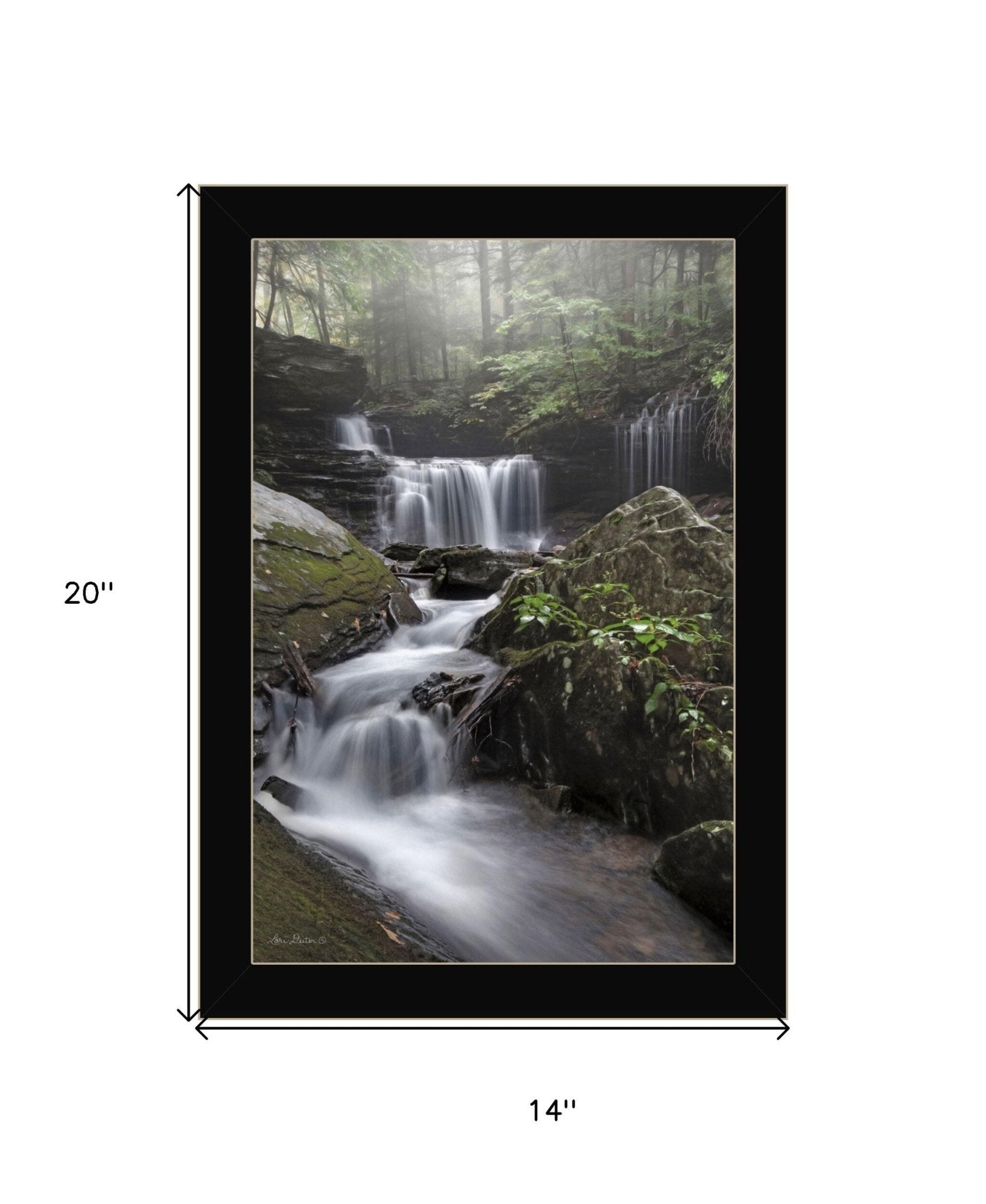 Ricketts Waterfall Black Framed Print Wall Art - Galactic capuchin