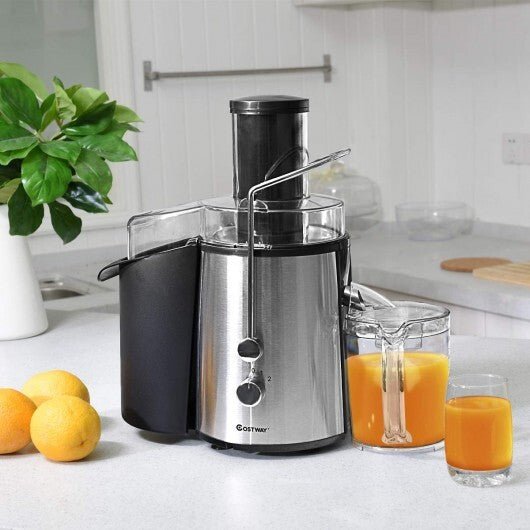 2 Speed Electric Juice Press for Fruit and Vegetable - Color: Silver - Galactic capuchin