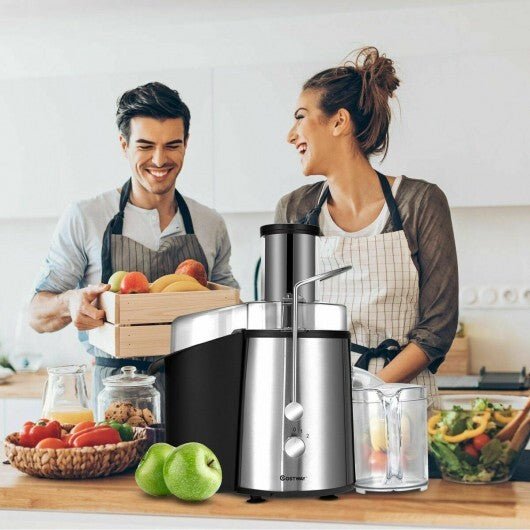 2 Speed Electric Juice Press for Fruit and Vegetable - Color: Silver - Galactic capuchin