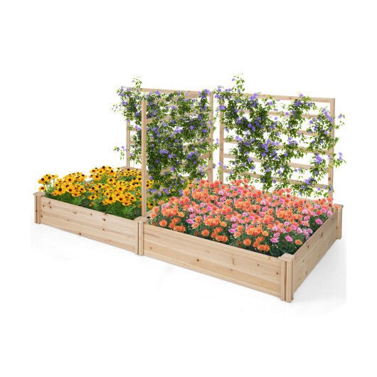 Raised Garden Bed with 2 Planter Boxes and 3 Trellis - Natural - Galactic capuchin